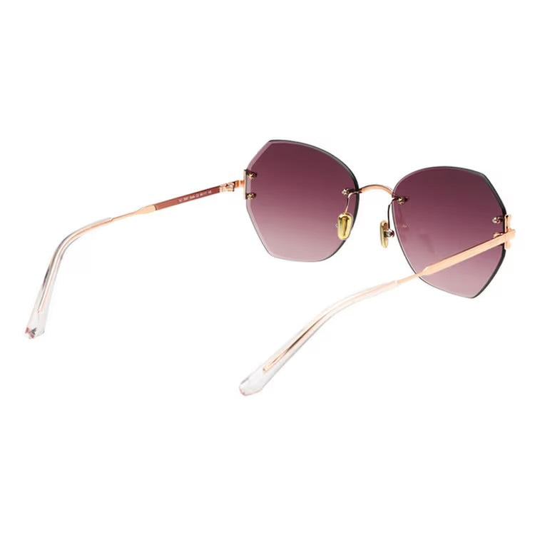 SCOTT SC3087 C2
