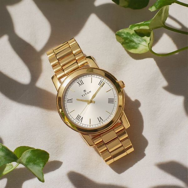 Titan NP1644YM01 Watch
