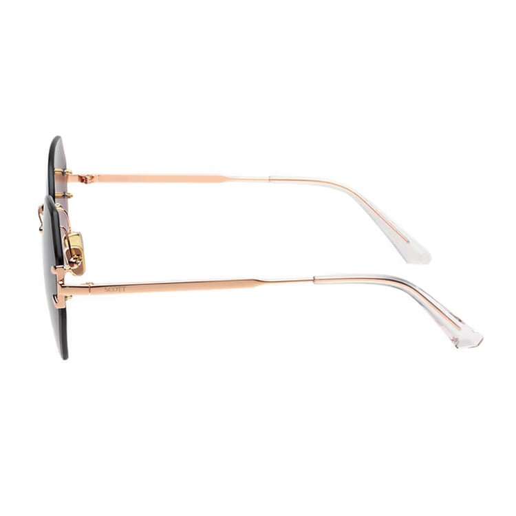 SCOTT SC3087 C2