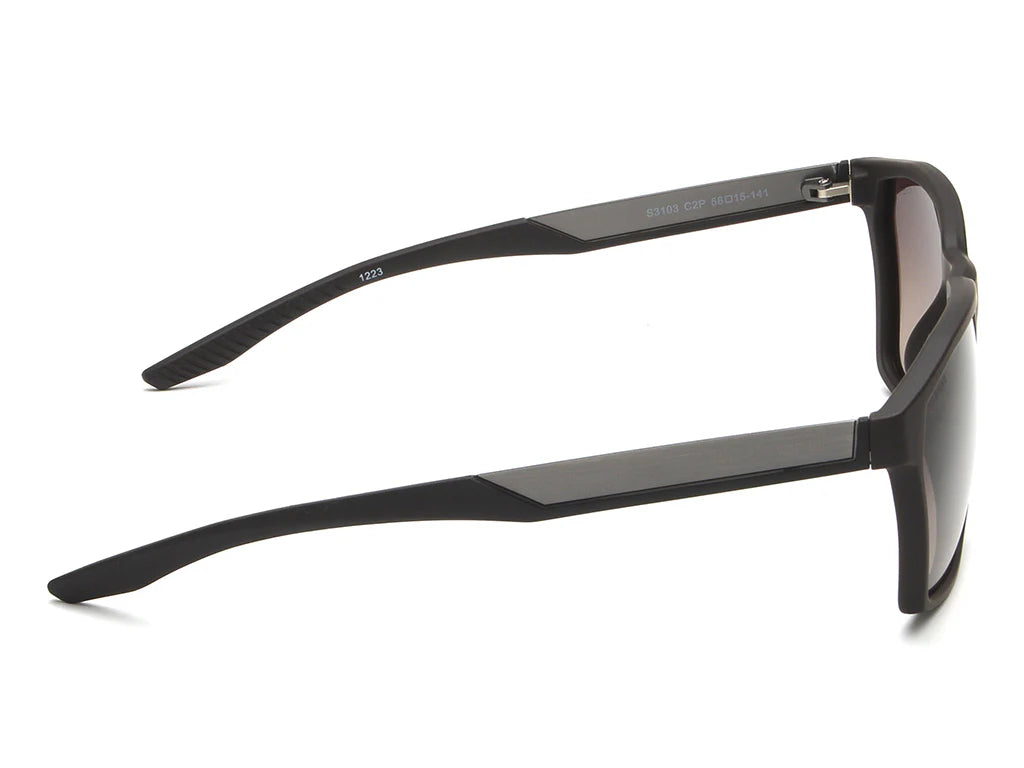 IDEE S3103 C2P