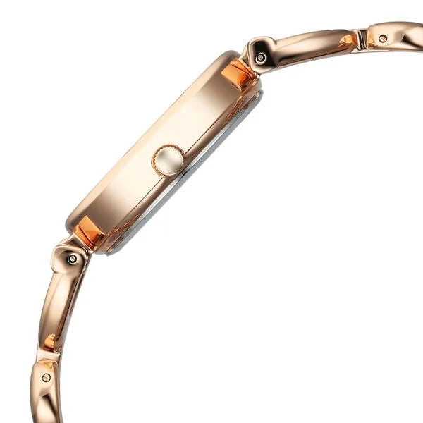 Titan 95301WM01 Watch