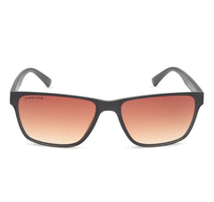 Fastrack Brown Wayfarer Sunglasses for Men P413BR2V
