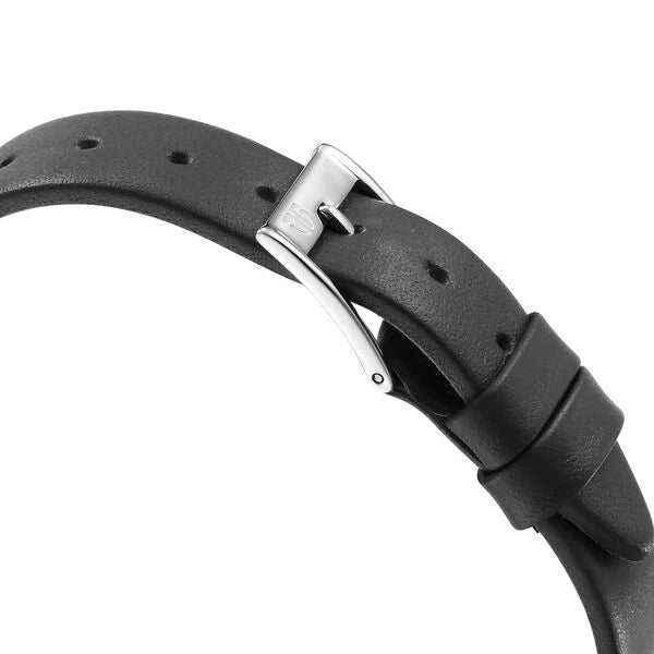 Titan Ns2655Sl01 watch