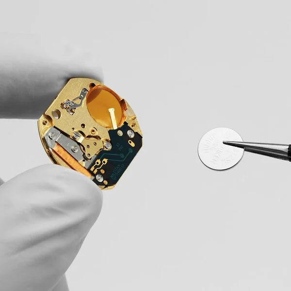 Titan Ns2655Sl01 watch